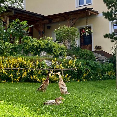 Heissgut Apartment Altenmarkt im Pongau Ngoại thất bức ảnh