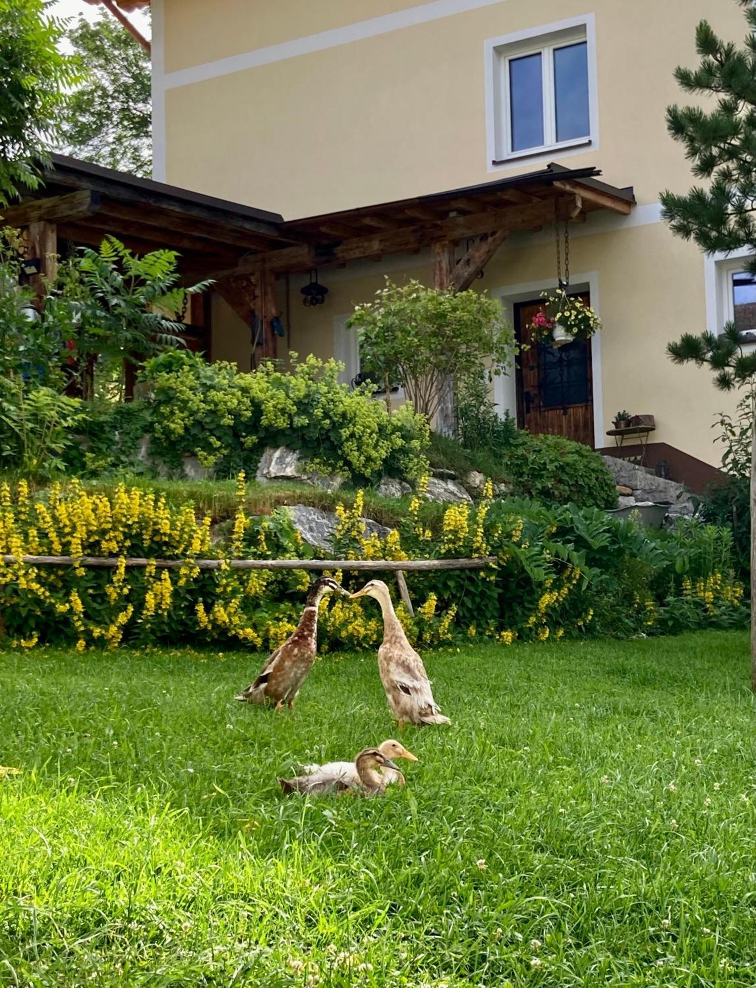 Heissgut Apartment Altenmarkt im Pongau Ngoại thất bức ảnh